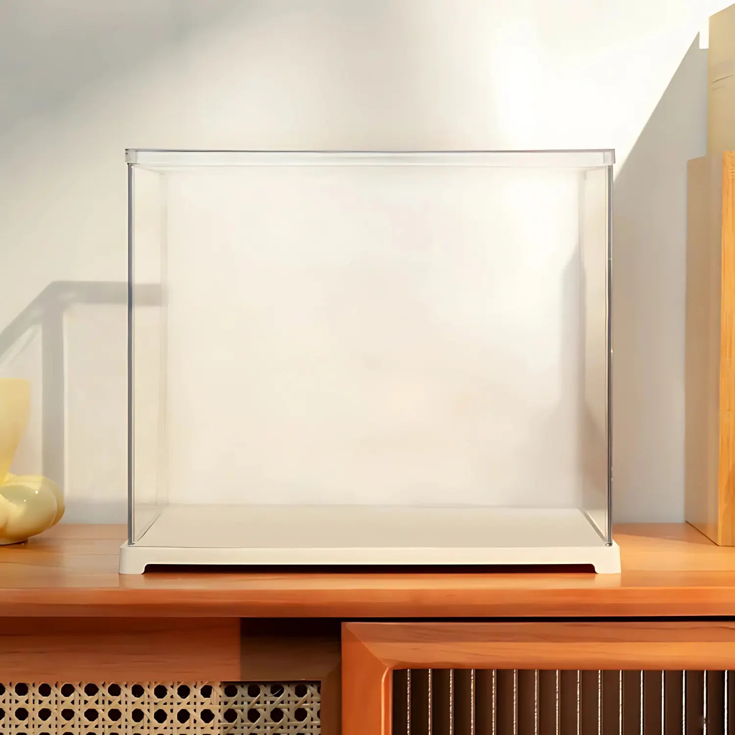 Boite d’Exposition Crafterra