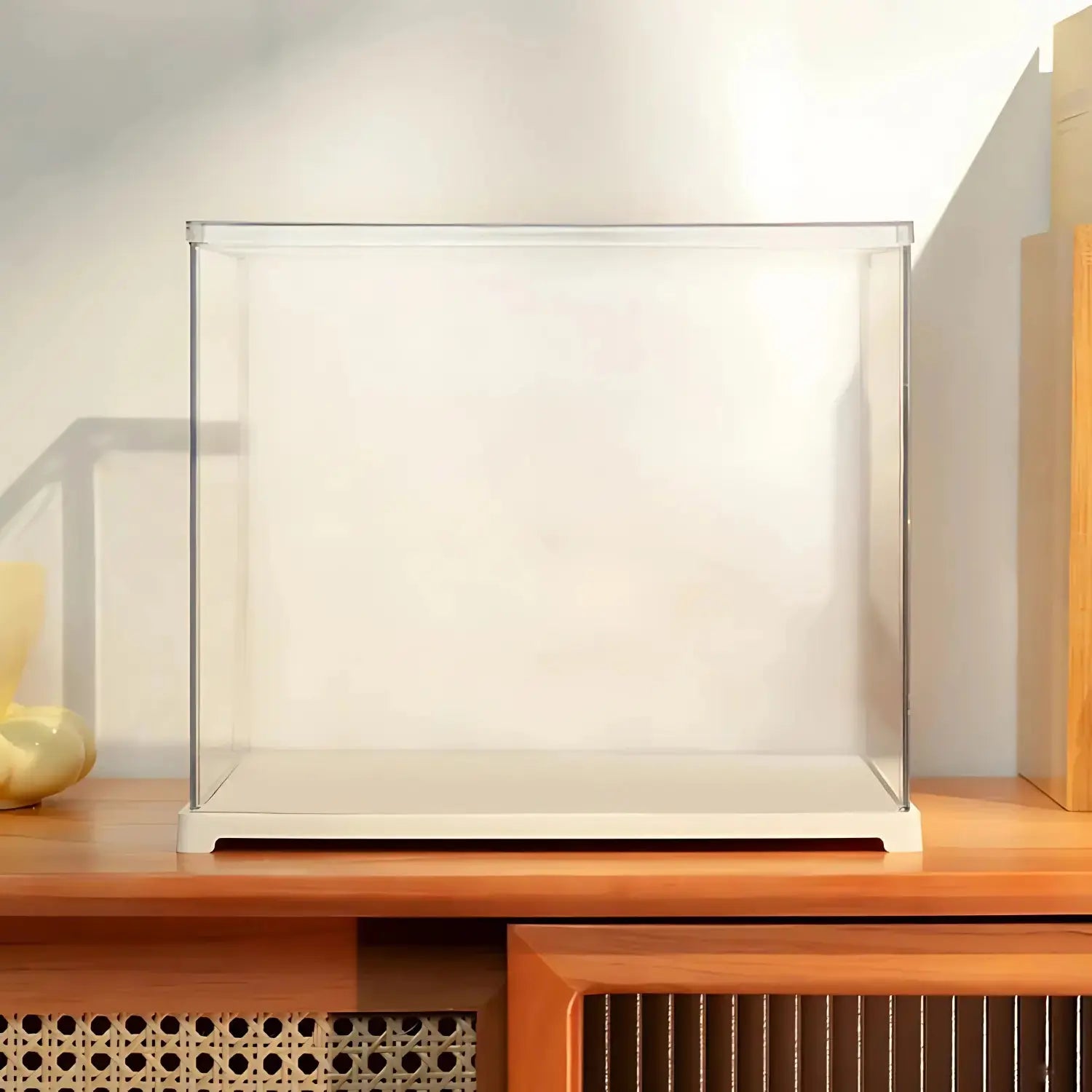 Boite d’Exposition Crafterra