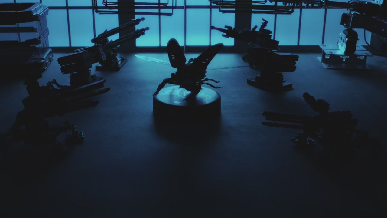 Puzzle 3D Lucane cerf-volant